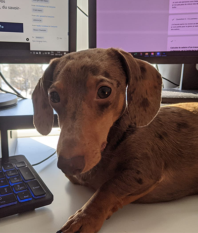 Ringo