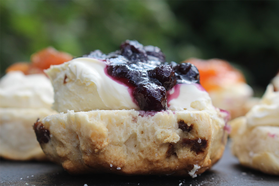 Scone nature avec bleuets et crème fraîche
